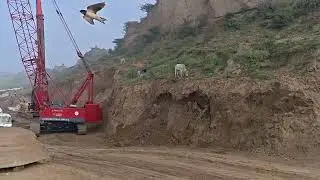 Agra Gwalior Highway six line  road project