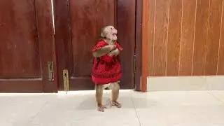 Chichi Emotiona-l Anqry Mom Refuse To Hug Her But Ask Her To Walk In Two Legs