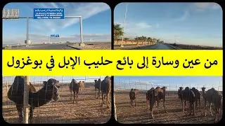 من عين وسارة☀️☀️☀️ إلى بائع حليب الإبل في بوغزول 🏝️🐪🏝️🐪🏝️🐪