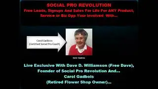 What Is Social Pro Revolution   Carol Gadbois s Success