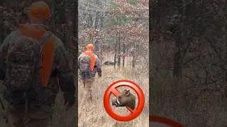 А что бы ты сделал? Для меня каждая охота &mdash; это охота на кабанов! Бадди сказал &laquo;нет&raquo; 🤷🏻&zwj;♂️ #охота...
