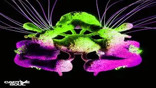 TH;EN & Carlo Whale - Fragments of Light [Extended Mix]