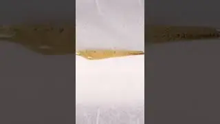 Sundae Driver Rosin Press