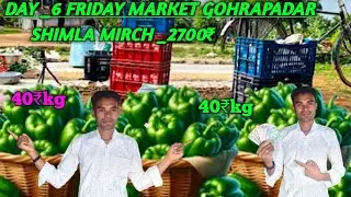 AAJ MAINE MARKET SE KHARIDA SHIMLA MIRCH _2700₹! PROFIT या LOSS 😱?