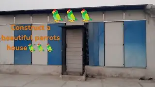 Beautiful parrots house 🏡|😍🏡|Ahmadspethouse |petslover