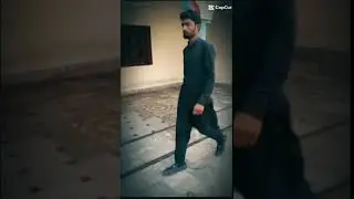 Ali ghazanfar