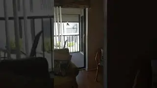 VID 20200215 1046221