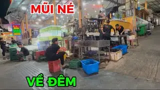 Dạo Quanh Đường Phố Mũi Né Hôm Nay ngày 20 tháng 1, 2026
