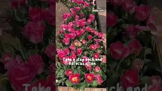 Tulip Garden In Turkey | Slow And Quiet CountrySide Life | Travel Vlog #shortsfeed  #youtubeshorts