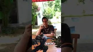 TONTON INI KALO KALIAN PEMULA DI CLASH LANE HOK ! #kagendra #ggkagendra #honorofkings