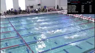 22 W 50 FREE YENDELL, WIECHERTJES