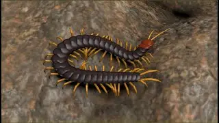Tyflow Procedural Centipedes