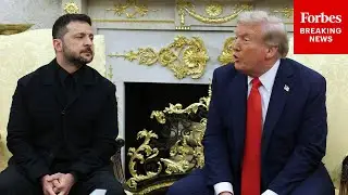 'I Love Them All': Trump Shares Message To Both Ukrainians And Russians During Zelensky Meeting