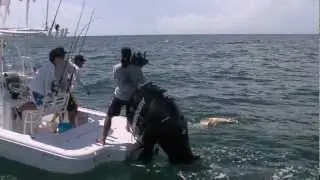 Bass2Billfish/REC Media Group 2012 Demo Reel