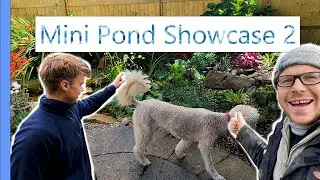 Garden Ponds in Sheffield (Pond Tour)