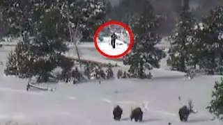 5 Unsolved Yellowstone National Park Mysteries