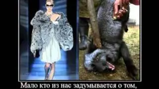 Вирус - Фотография