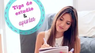 MIS MEJORES TIPS DE ESTUDIO + Organización de Cuaderno