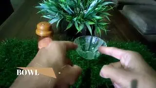Easy and simple Science Experiment You Must Try At Home.