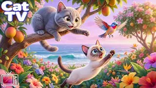 Cartoon for Cats: Stimulating Cat Videos for Cat to Watch | Anti-Loneliness & Funny Music for Cats