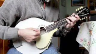 Mandolin tunes. Brid Harper's (Irish jig)