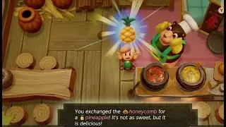 Links Awakening - How To Get To Animal Village And Get The Pineapple