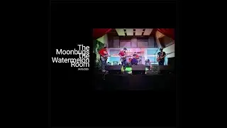 The Moonbugs Live At The Watermelon Room