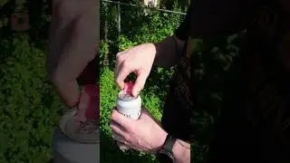 The King Can Handle