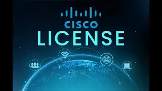 Network Essentials vs Network Advantage | Which Cisco License to Choose?