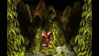 Donkey Kong Country - Necky's Nuts