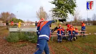 FUNNY Christmas Tree Throw Games / Christbaumwerfen Schwaikheim, Germany, 14.01.2017.