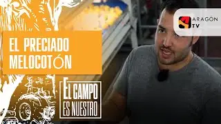 El preciado melocotón