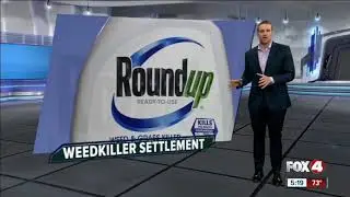 Monsanto's widely used weed killer, Roundup, was likely cause of man's cancer, jury says