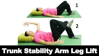 Trunk Stability Arm Leg Lift - Ask Doctor Jo