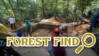 Forest Find in Vernon Parish