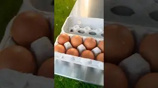 Egg sale roadside. #farm