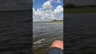 Jacksonvile Florida Sea Trout