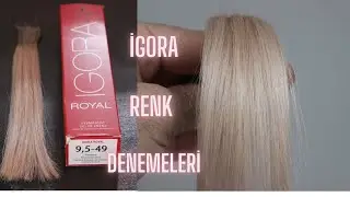 PASTEL BEJ VİYOLE( 9,5-49) İGORA RENK DENEMESİ BOYA FORMÜLLERİNE DEVAM