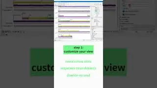 Custom views in clc main workbench (qiagen)  educational purposes only (created with MS Clipchamp)