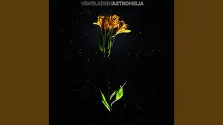 Astromelia