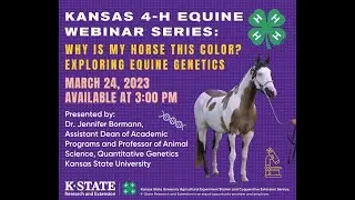 Kansas 4-H Equine Webinar- March 2023- Why is My Horse This Color? Exploring Equine Genetics
