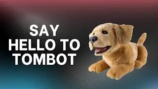 Этот роботизированный щенок реально меняет подход к уходу за пожилыми людьми.