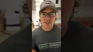 4 QUESTIONS To Ask About GRASS TYPES...
