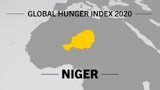 Global Hunger Index 2020 (GHI) - Niger