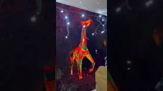 Colchester zoo light trail@puchkisugarpie2580 