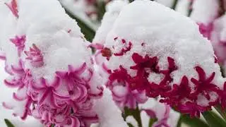 Inspiring, peaceful, beautiful, relaxing, soothing instrumental music by Russell Nollen