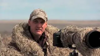 Photographing Sharp-Tailed Grouse: The Prairie Dancers!