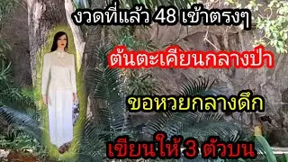พ่อไสวพารวย.. channel กำลังถ่ายทอดสด! ขอหวยแม่ตะเคียนกลางดึก