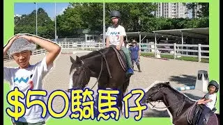 【$50騎馬仔】60分鐘走入騎術學校有咩玩?