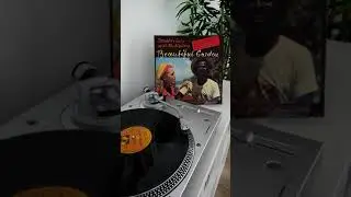 Donald & Lulu With The Wailers - Just Cool Running's - Reggae Vinyl #Shorts